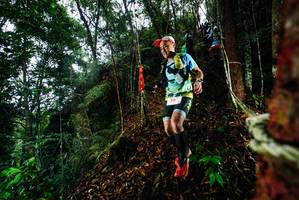 BIB: 
                            <button type="button" onclick="openModal(26198247)" class="btn btn-primary btn-sm float-right btn-popup" data-toggle="modal" data-target=".modal-high-quality">
                        <i class="fas fa-shopping-cart"></i> Add to Cart
                    </button>
                                            <button type="button" onclick="isThisMe(26198247, true)" class="btn btn-success btn-sm float-right btn-popup btn-isme hidden" data-toggle="tooltip" data-placement="bottom" title="นี่คือรูปของคุณใช่ไหม คลิกที่นี่เพื่อเอาเข้าอัลบั้ม">
                        <i class="fas fa-plus"></i> Add to album
                    </button>
                    <button type="button" onclick="isThisMe(26198247, false)" class="btn btn-warning btn-sm float-right btn-popup btn-isnotme hidden">
                        <i class="fas fa-ban"></i> Remove from album
                    </button>